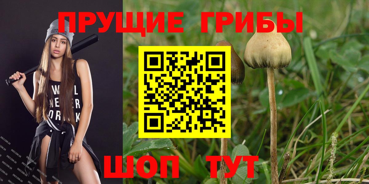 Псилоцибиновые грибы Psilocybine cubensis  где купить наркоту  Псилоцибиновые грибы Magic Shrooms  Озёры  Вход с VPN 